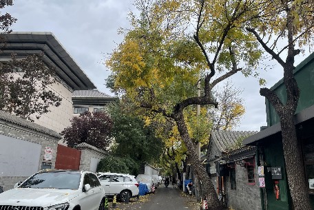 琉璃寺胡同：古韻今風(fēng)的胡同記憶